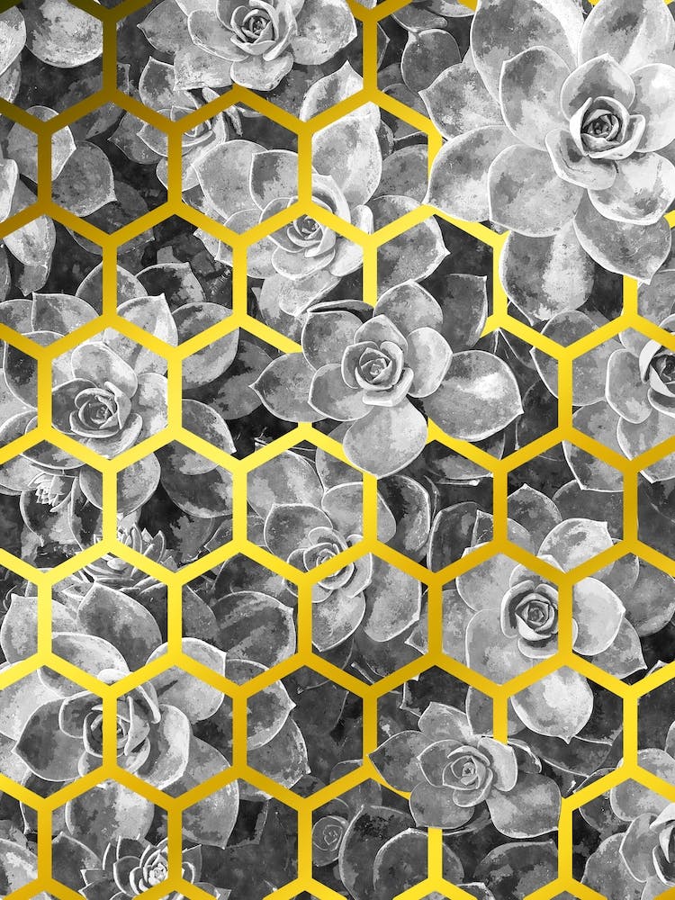 Black and White Succulents and Golden Geometry