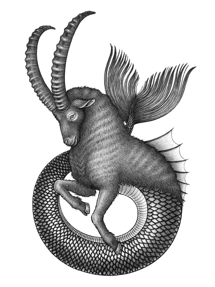 Capricorn