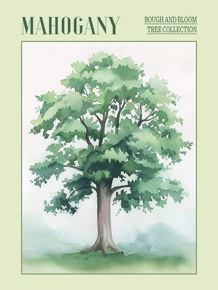 Mahogany Tree Atmospheric Watercolour Painting 1 Poster