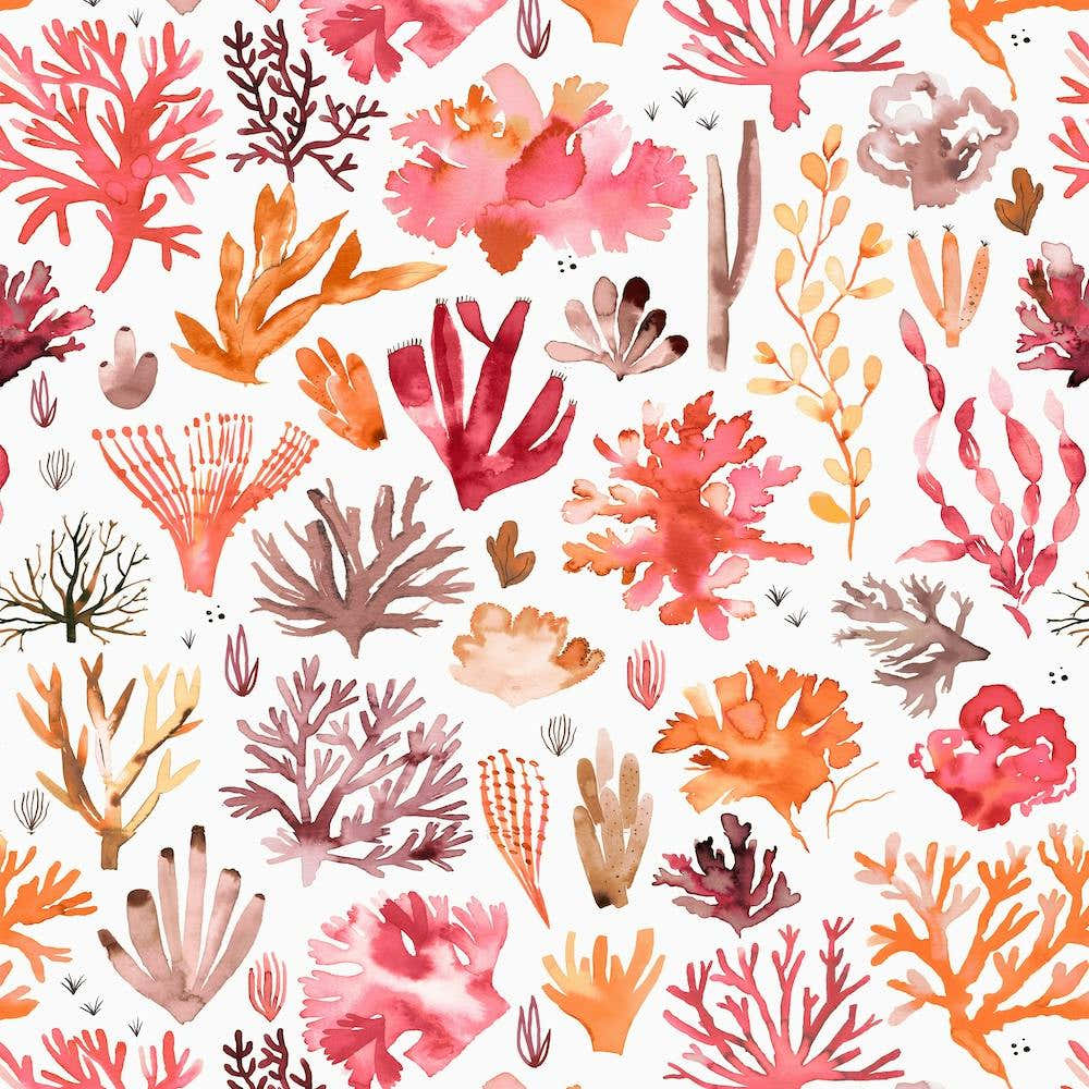 Corals Reef Red Square