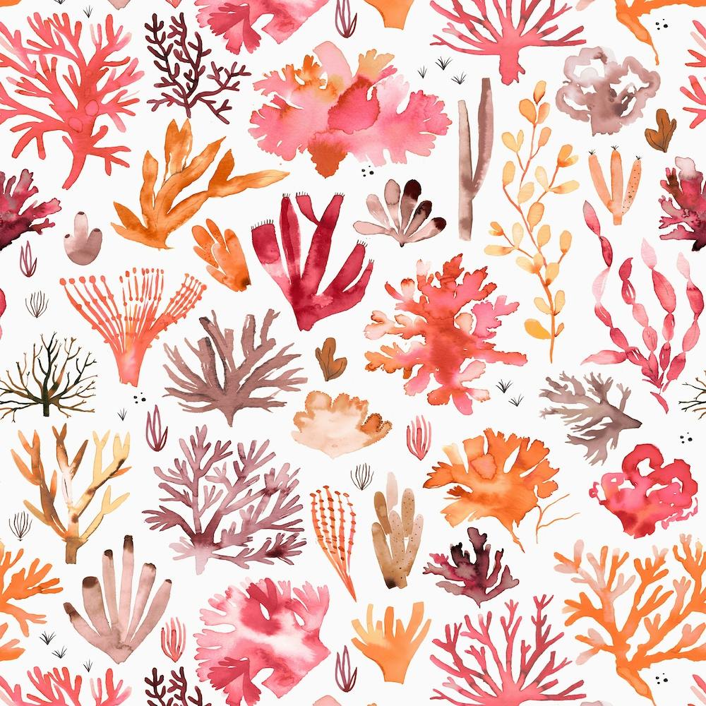 Corals Reef Red Square