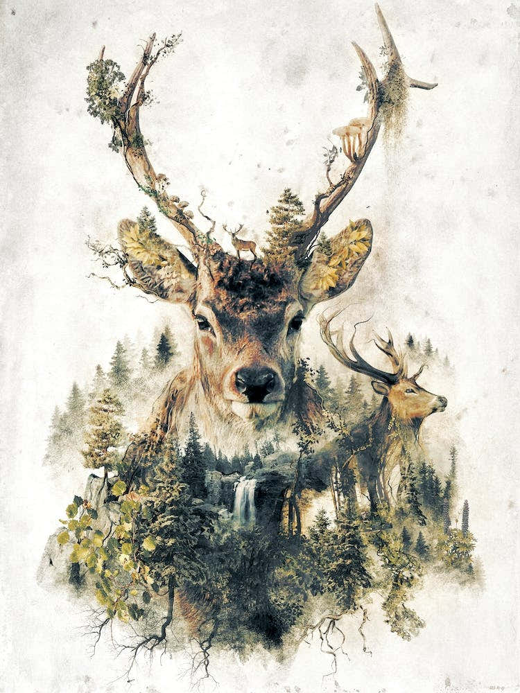 Surreal Deer