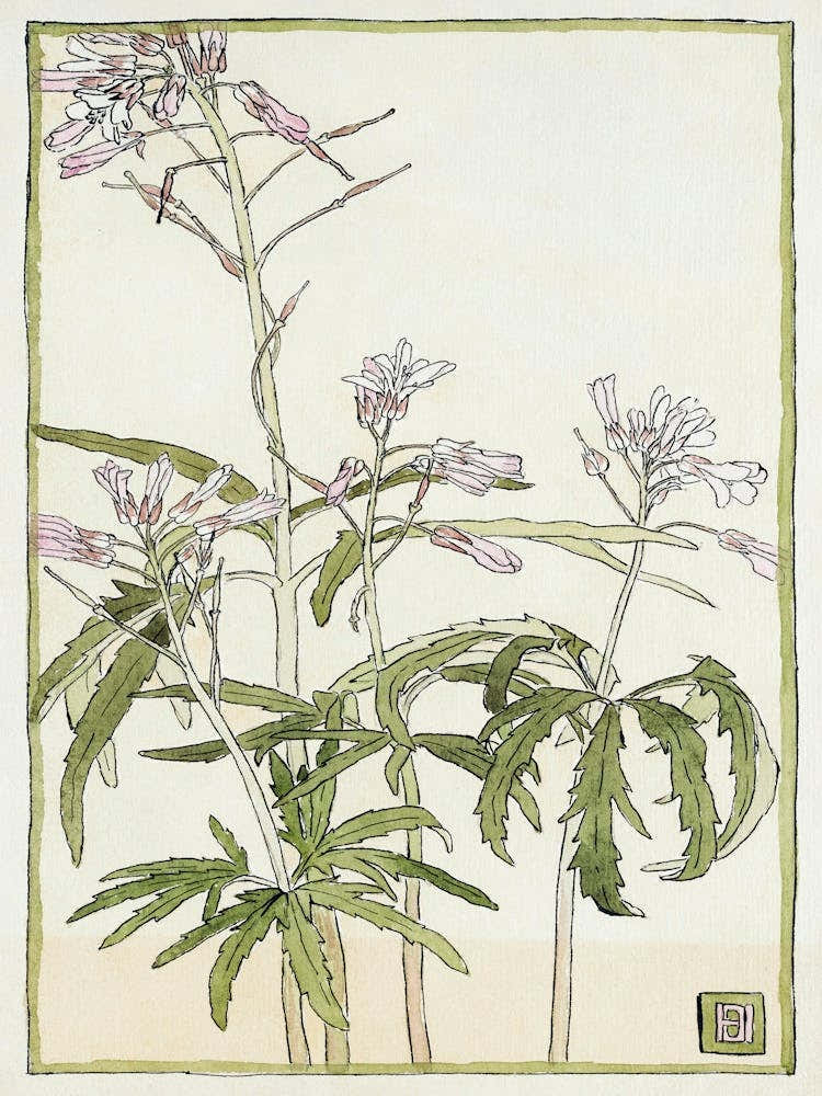 Pink Flowers With Spiky Green Leaves (1915), Hannah Borger Overbeck