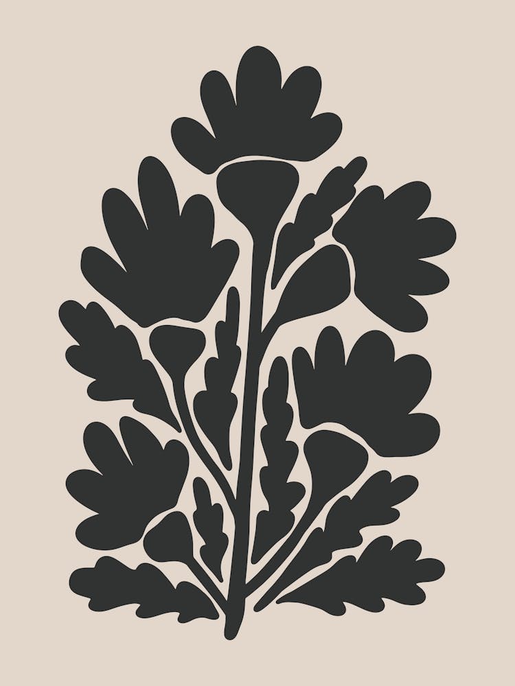 Abstract Botanical No 1717