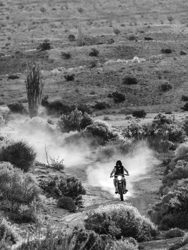 Easy Rider