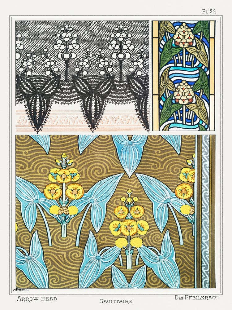 Sagittarius From The Plant And Its Ornamental Applications (1896), Maurice Pillard Verneuil 1