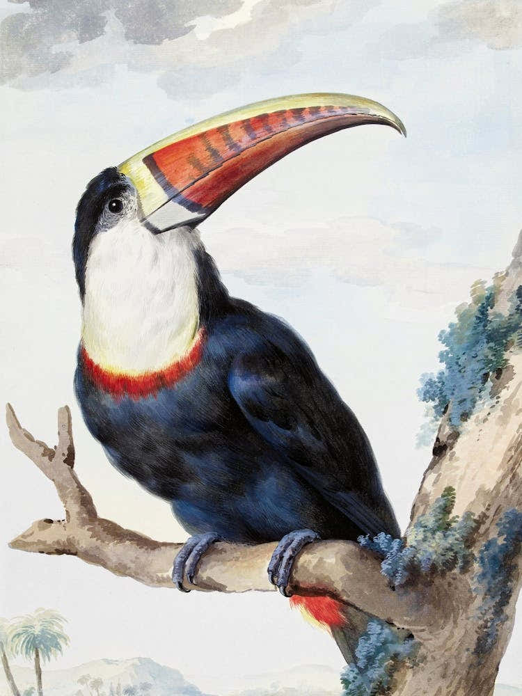 Illustrated Vintage Bird_2835697