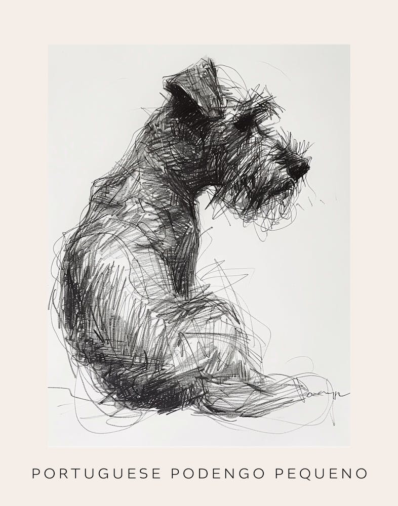 Portuguese Podengo Pequeno Dog Line Sketch 2 Poster