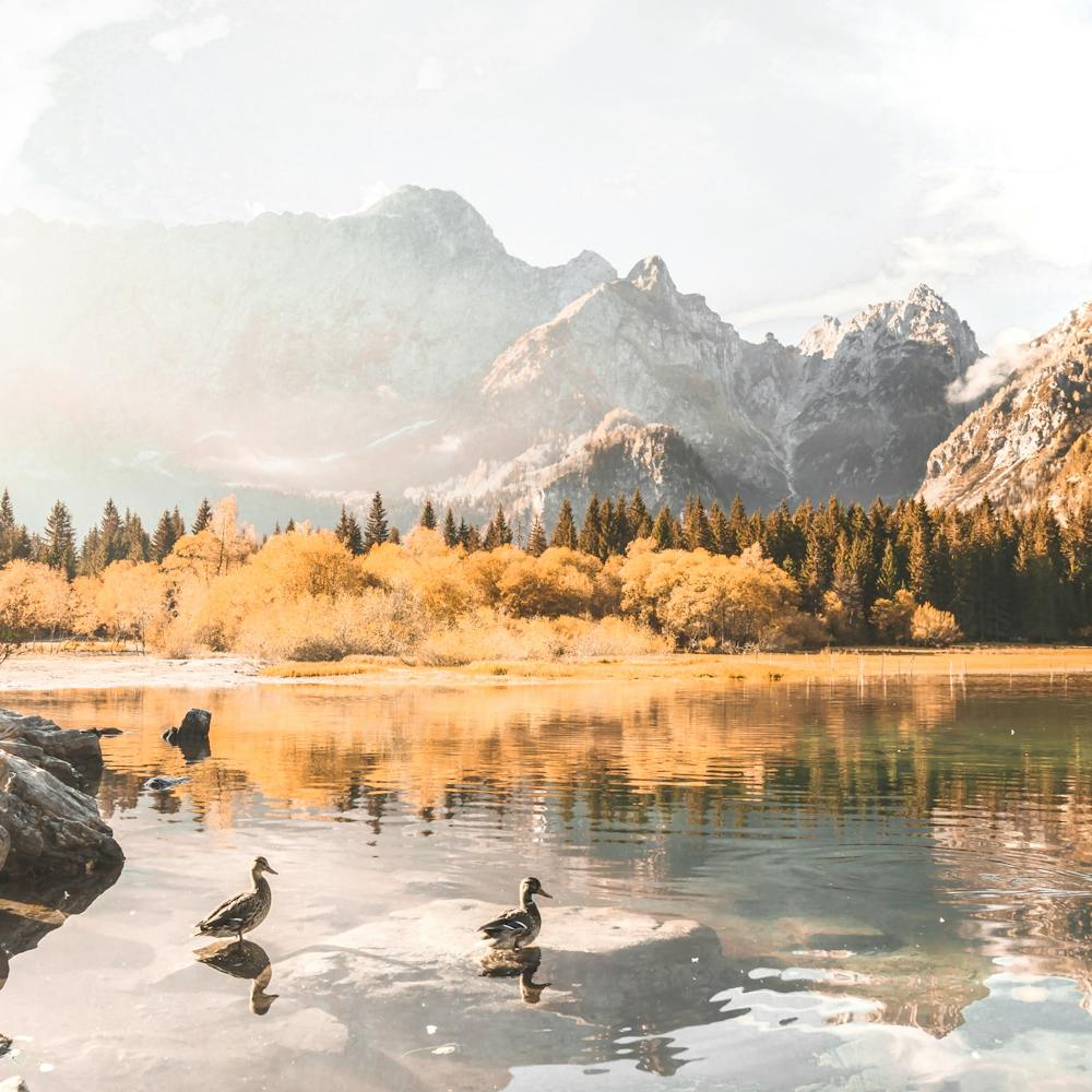 Autumn in the Italian Alps