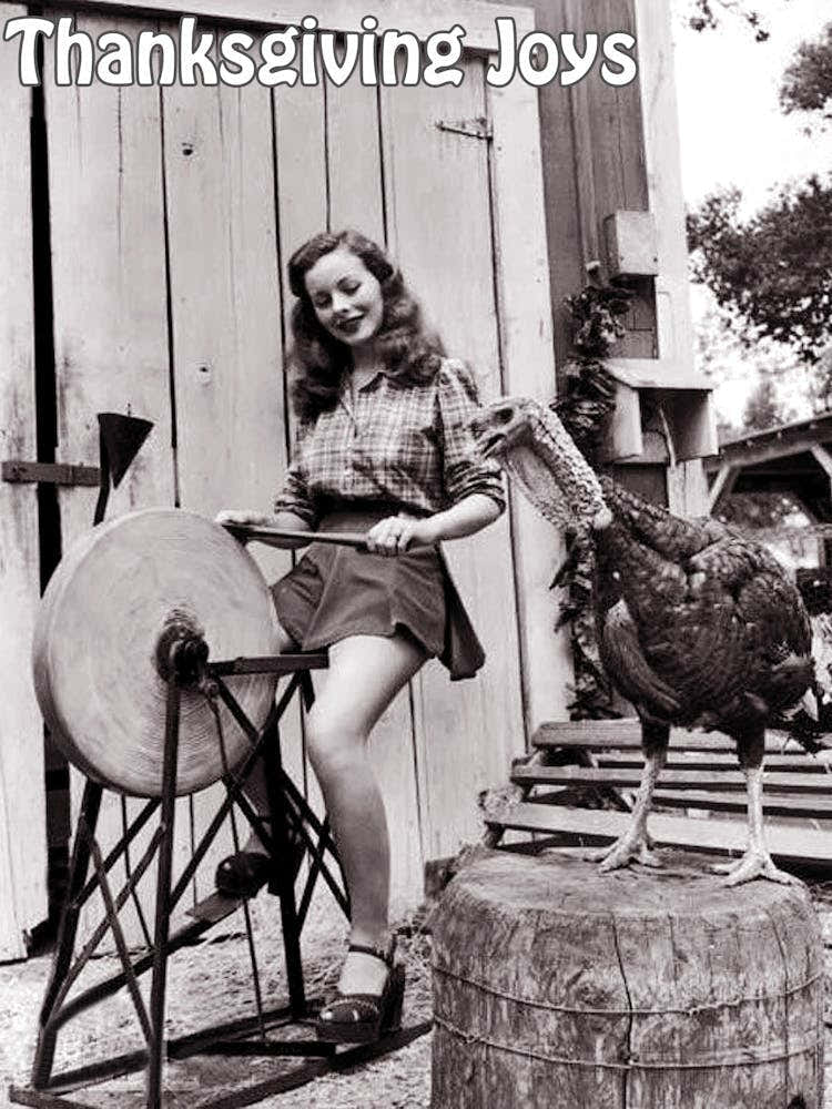 Thanksgiving Joys, Pin Up Girl And A Turkey