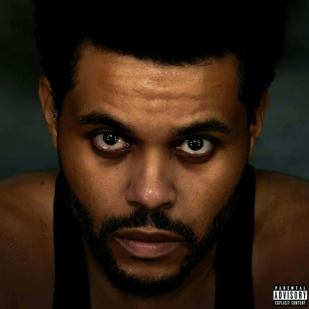 The Weeknd Album (8)