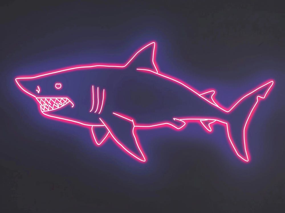 Neon Pink Largetooth Cookiecutter Shark 1