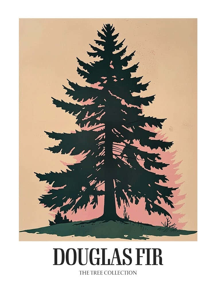 Douglas Fir Tree Illustration Colourful 4 Poster