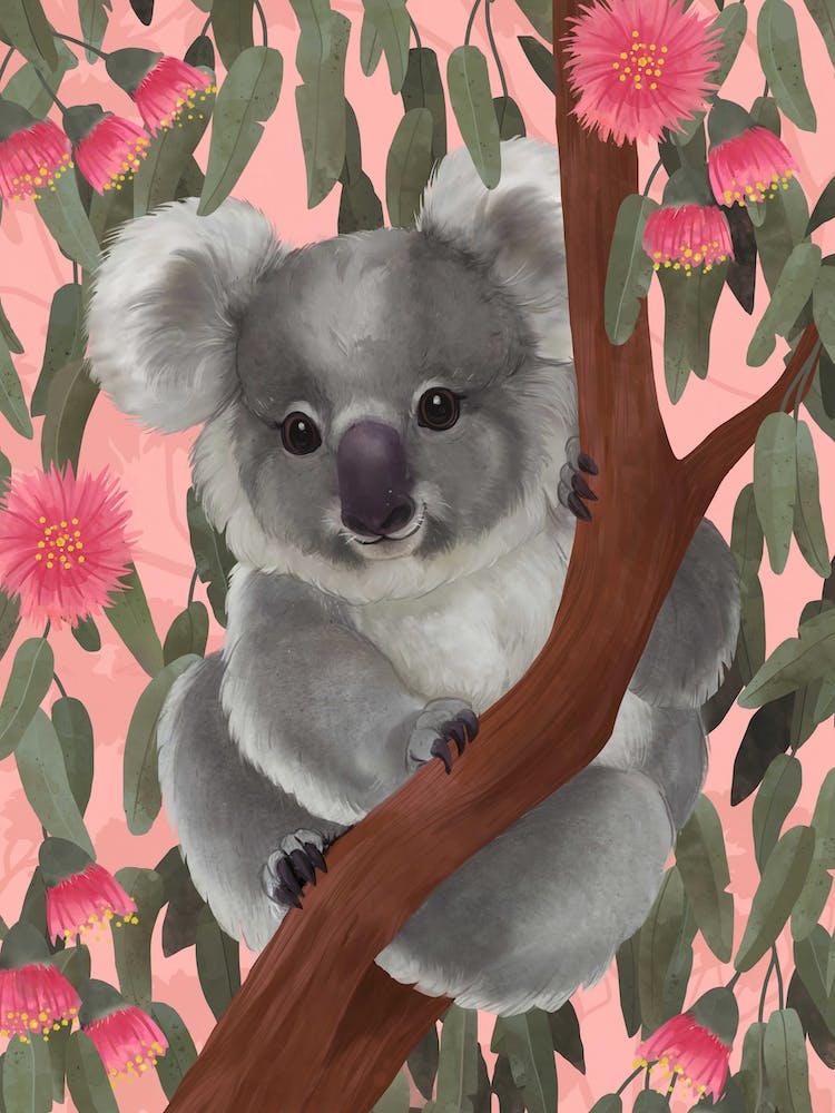 G'Day Koala