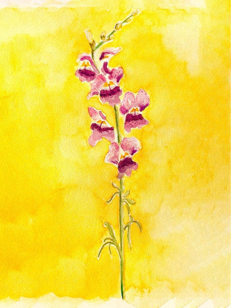 Bleeding Hearts Flower Painting