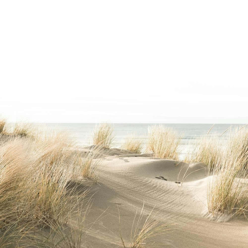 Beach Sand Dunes Square