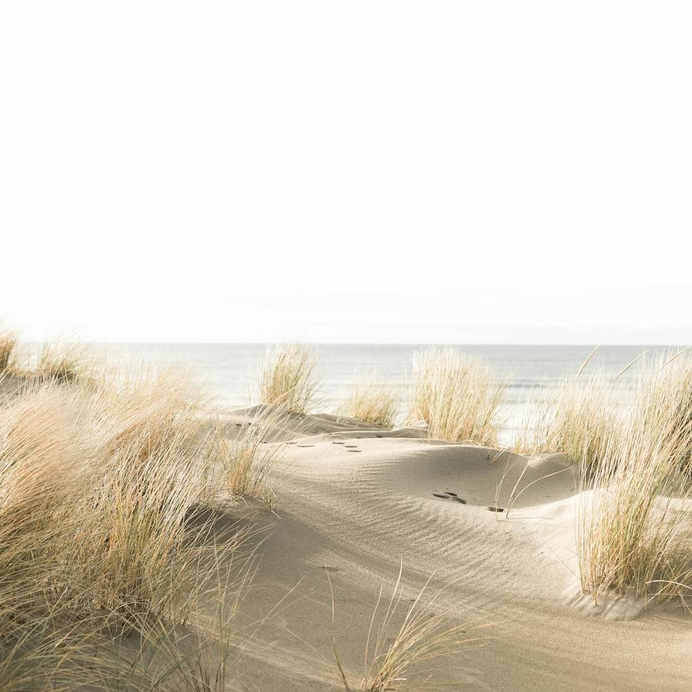 Beach Sand Dunes Square