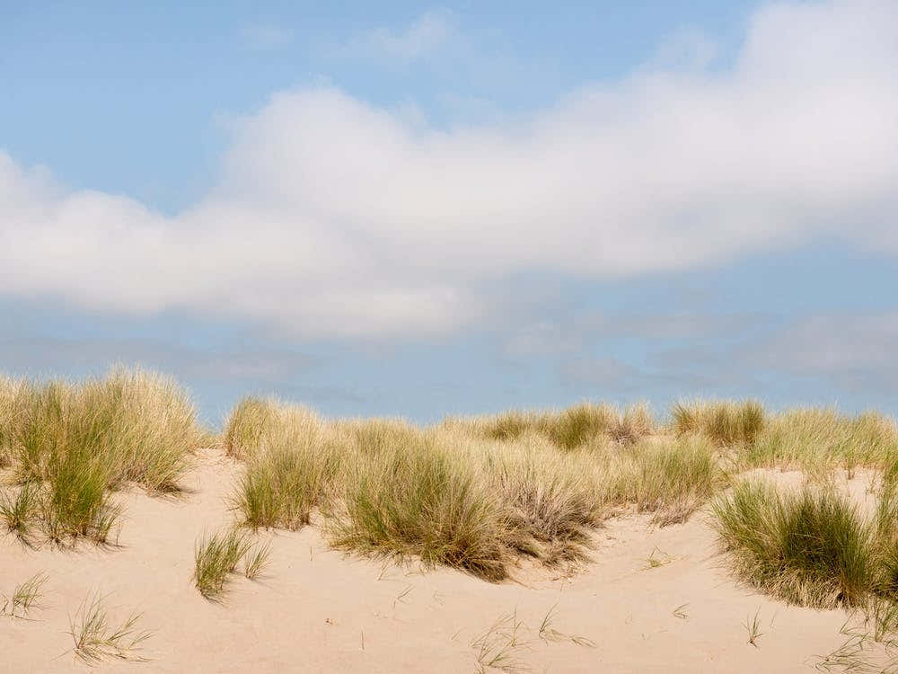 Cloudy Dunes