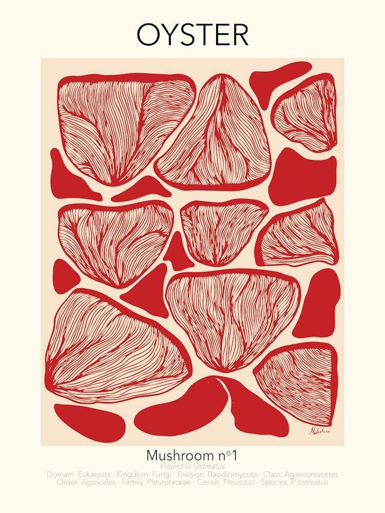 Oyster Mushroom Poster