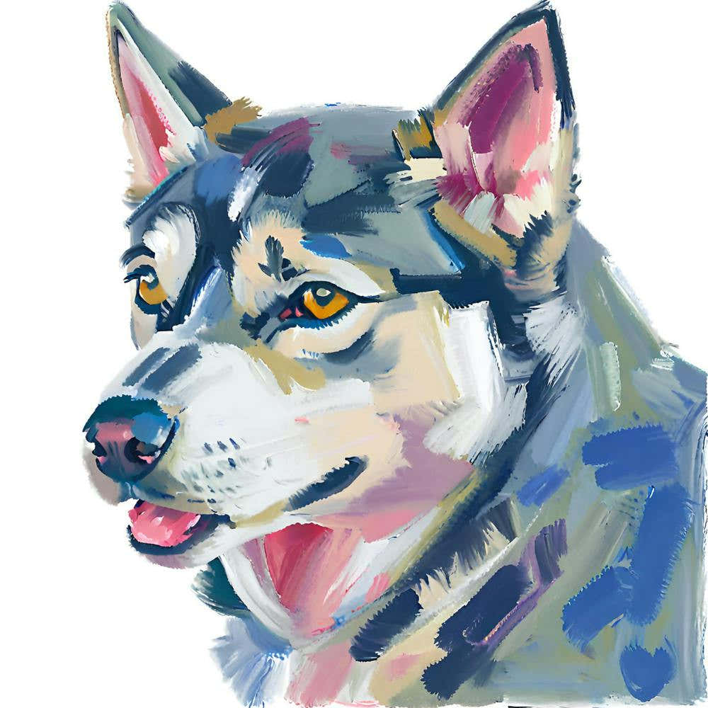 Siberian Husky 01