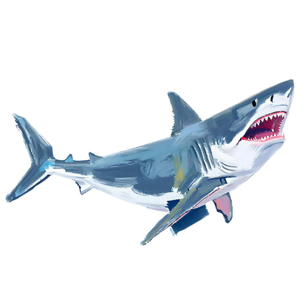Great White Shark 03