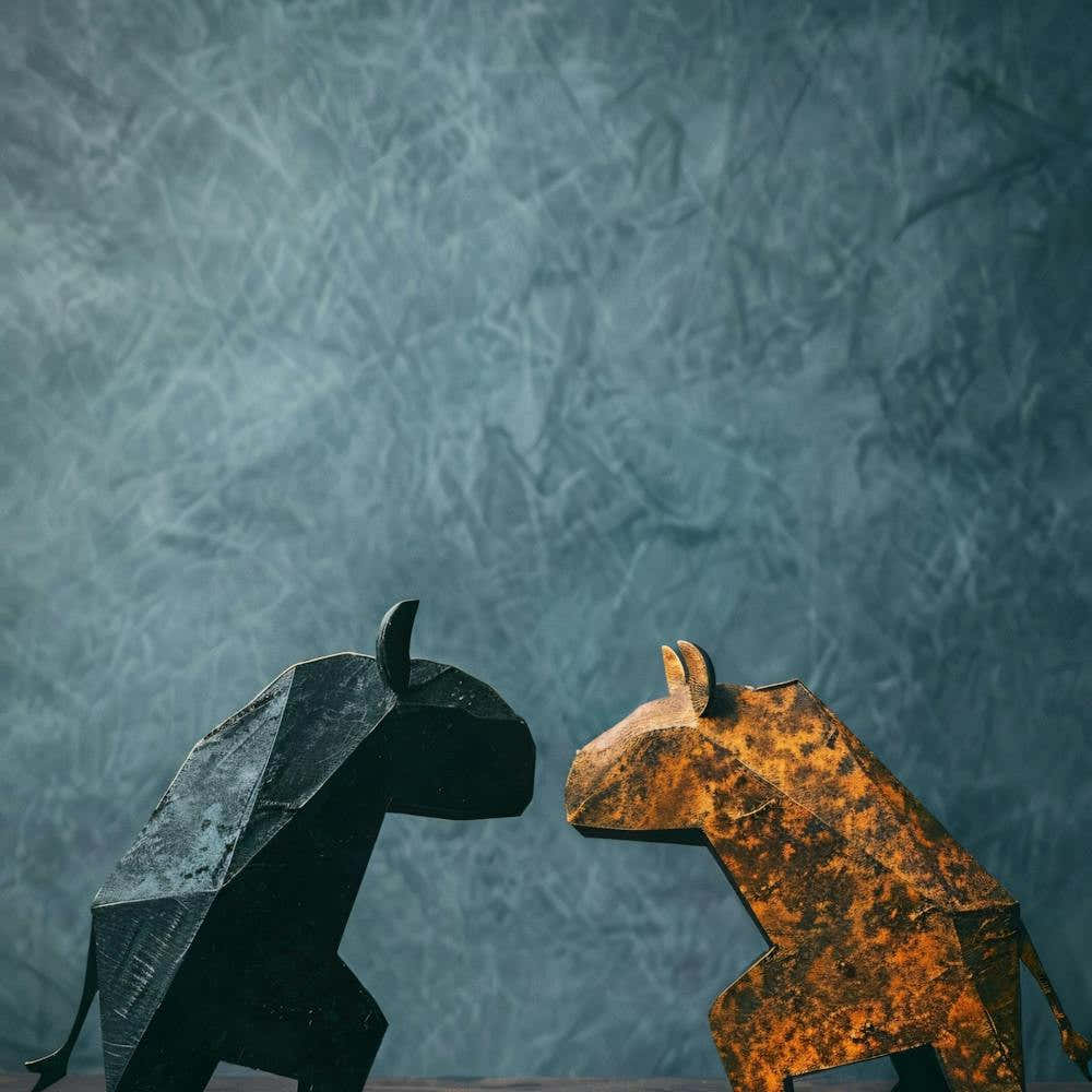 Bull And Bullfighter 1