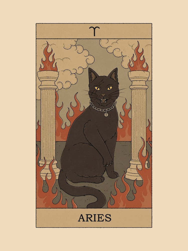 Aries Cat