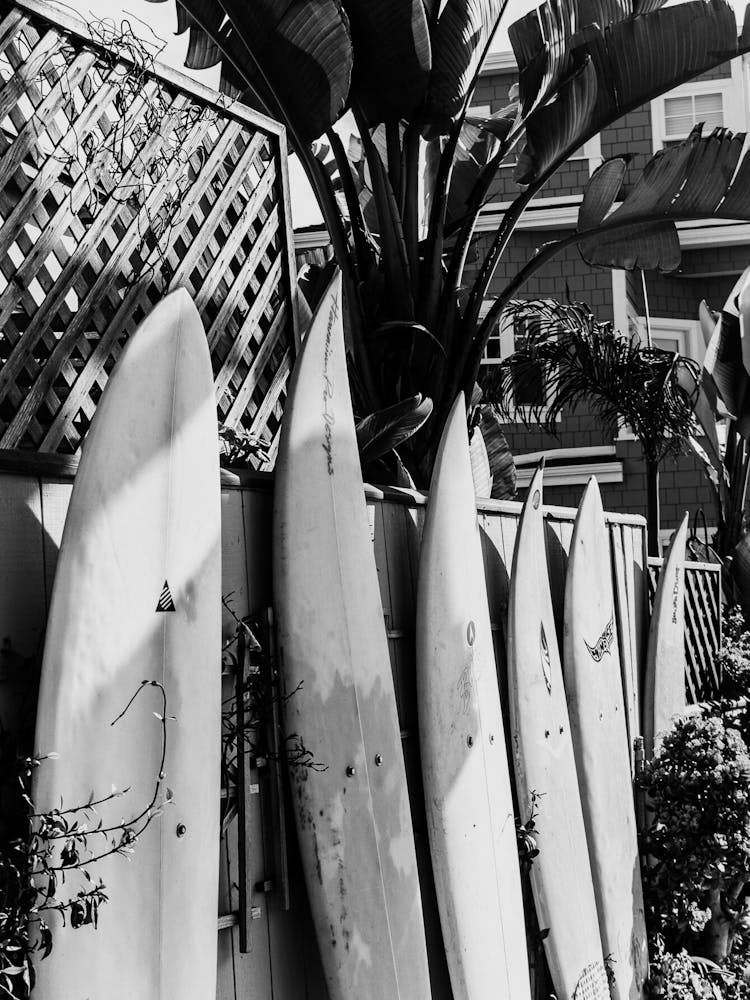 Black And White Surfboards