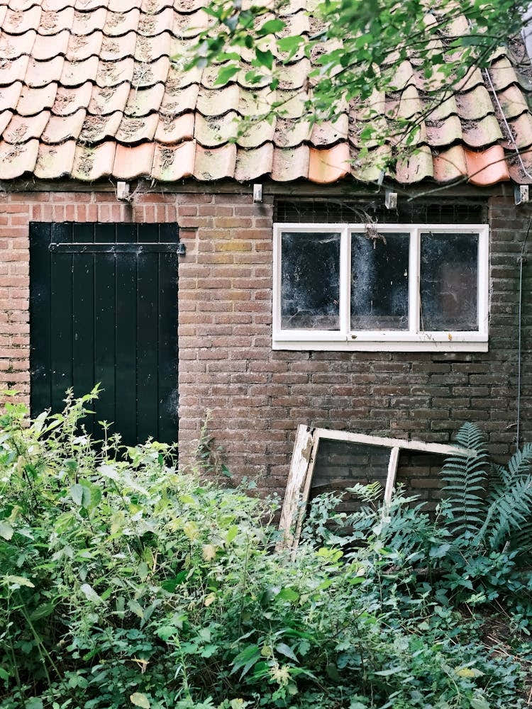 Old House In The Woods // The Netherlands Travel Photography
