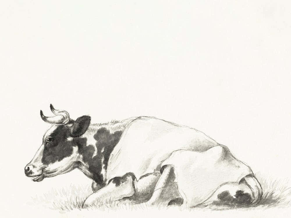 Lying Cow, Jean Bernard