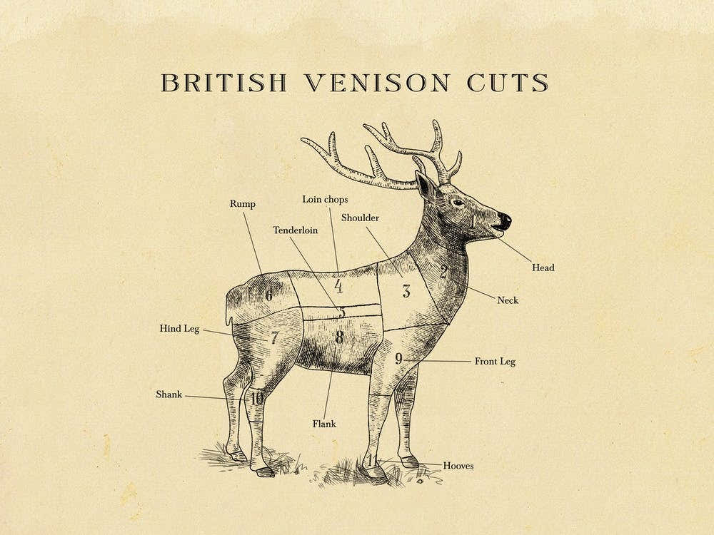 British Venison Butcher Cuts Chart