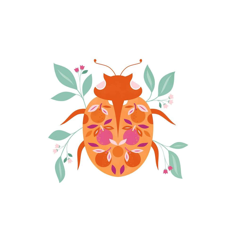 Tangerine Ladybird