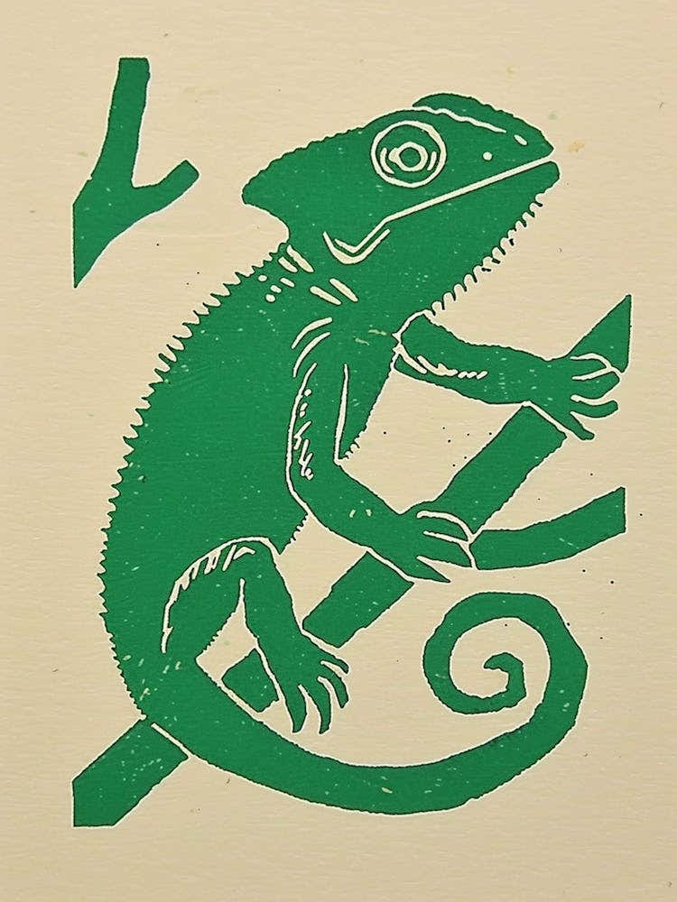 Mellers Chameleon Bold Block 3