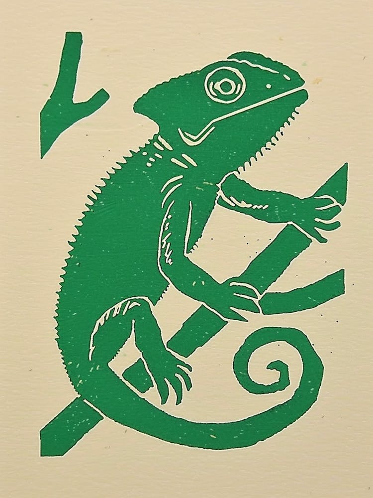 Mellers Chameleon Bold Block 3