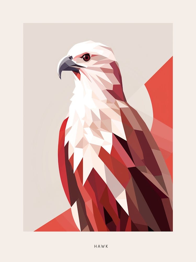 Minimalist Hawk Bird Poster