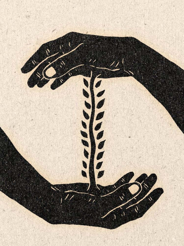 Hands Holding A Leaf