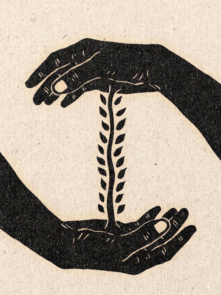 Hands Holding A Leaf