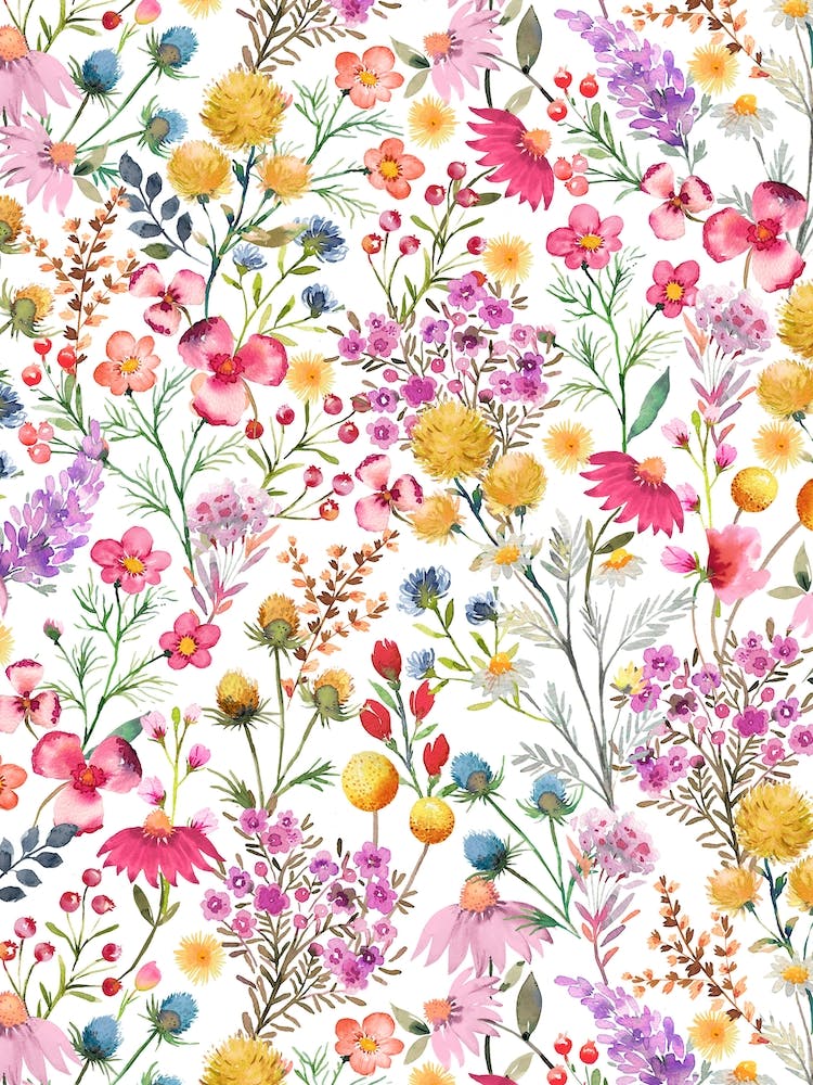 Whimsical Wild Botanical Flowers