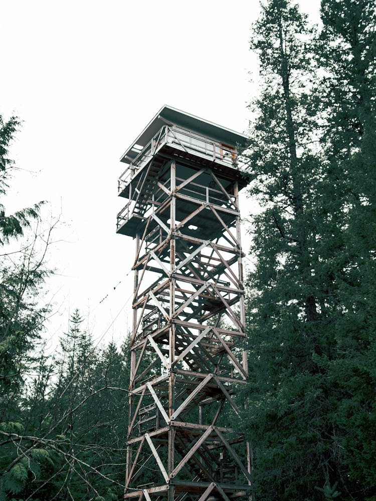 Washington Fire Lookout