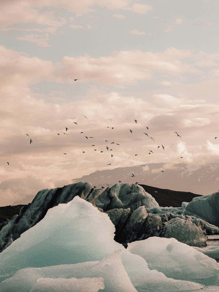 Jokulsarlon Glacier Sunset