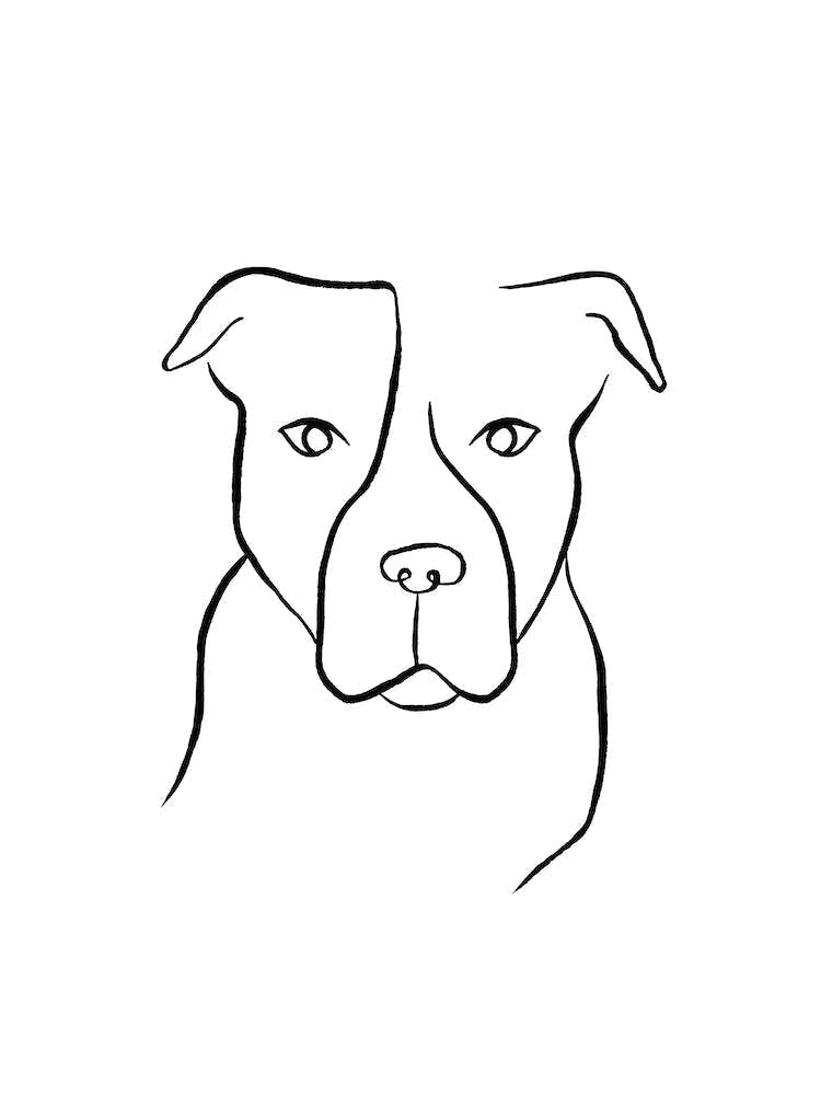Minimal Pitbull