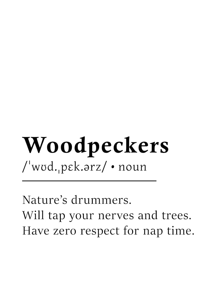 Woodpeckers Definition Poster - Dictionary
