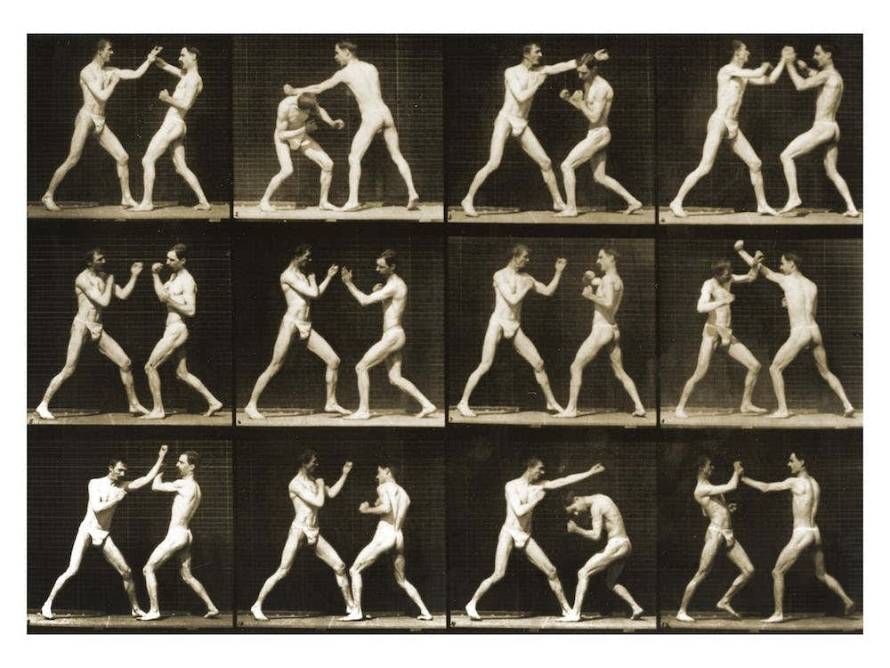 Two Men Boxing From The Animal Locomotion