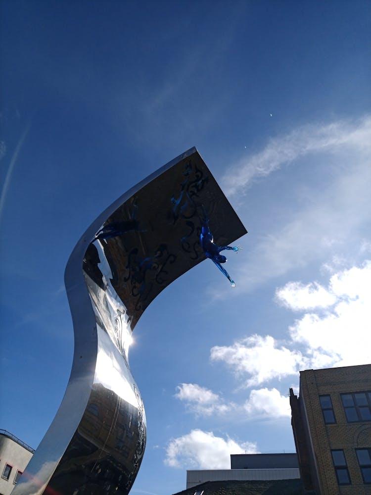 The Diver by Tim Bartrop