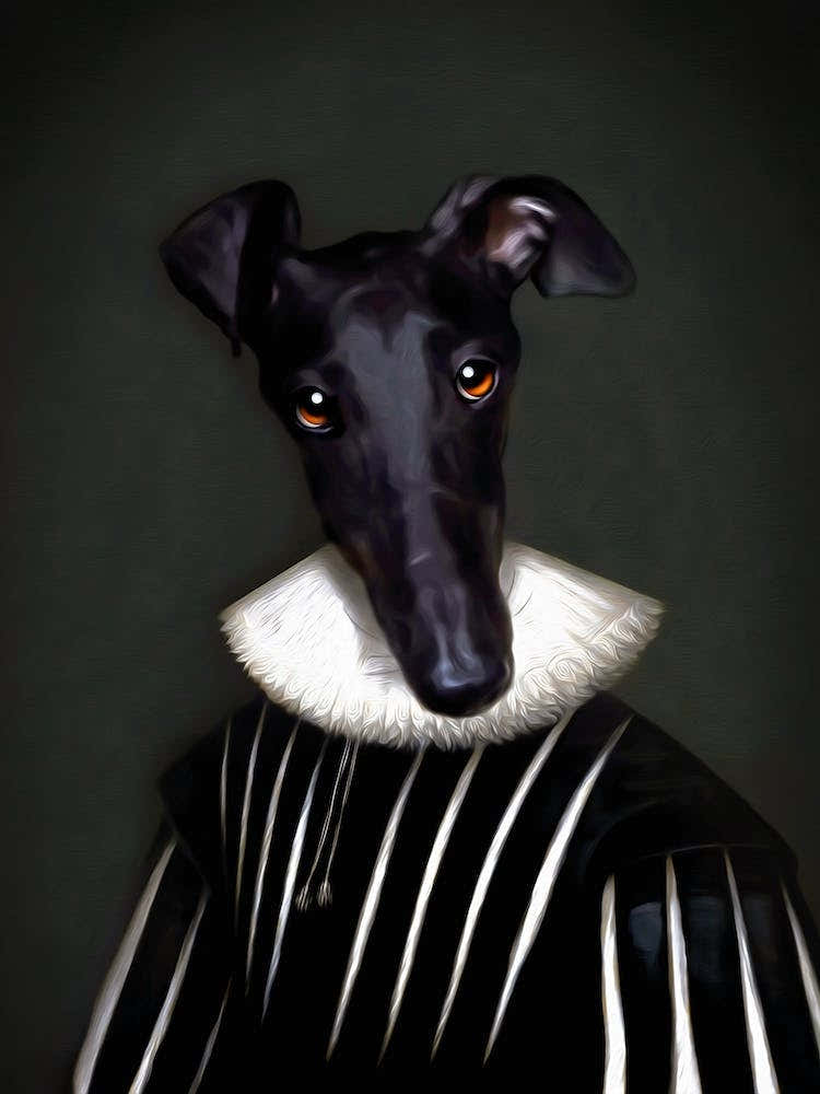 Galgo Dog Athena Pet Portraits