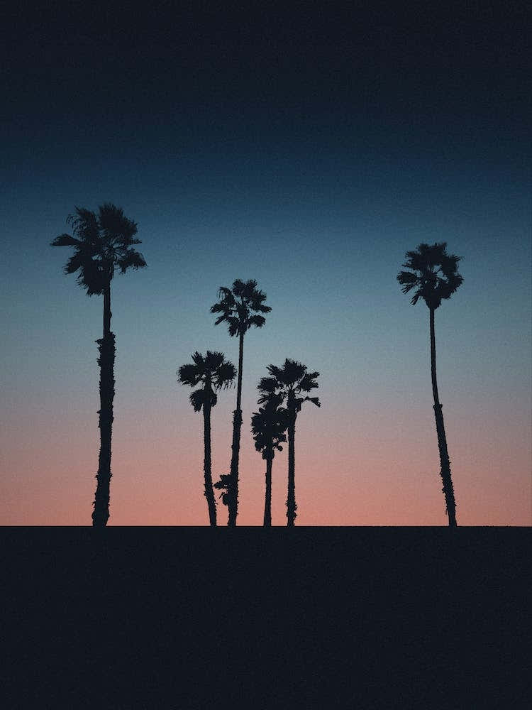 Mania Landscapes Raw 21 Santa Monica (USA)