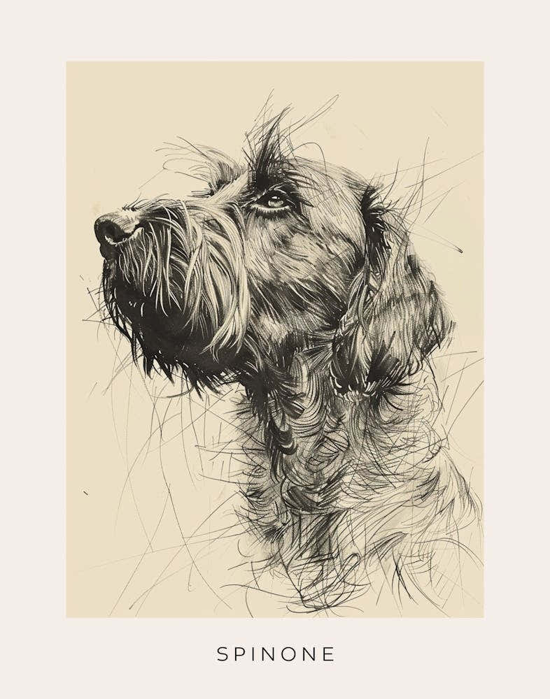 Spinone Dog Line Sketch 1 Poster