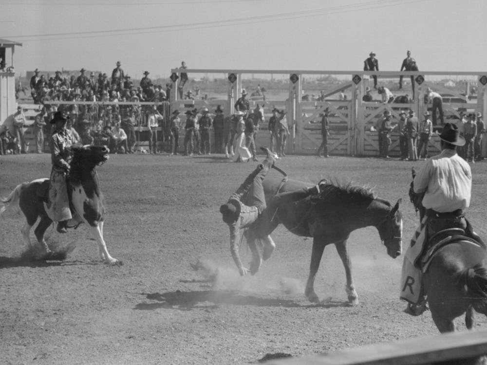 Rodeo Performer Being Bucked Off Bronco During The Rodeo At The San Angelo Fat Stock Show, San Angelo