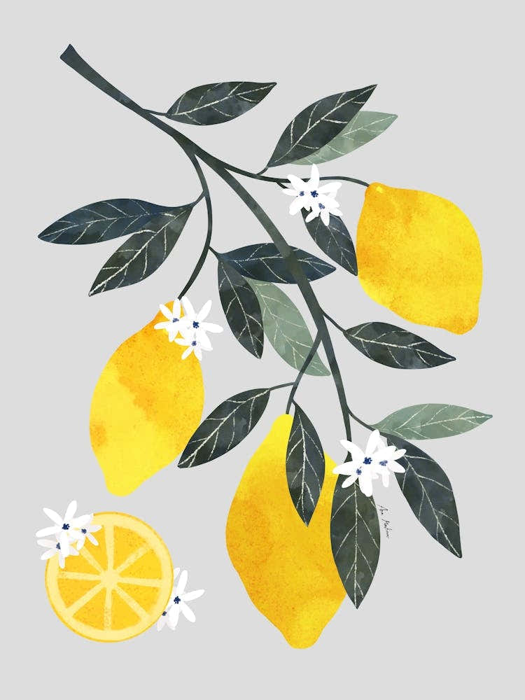 Lemon Branch 1