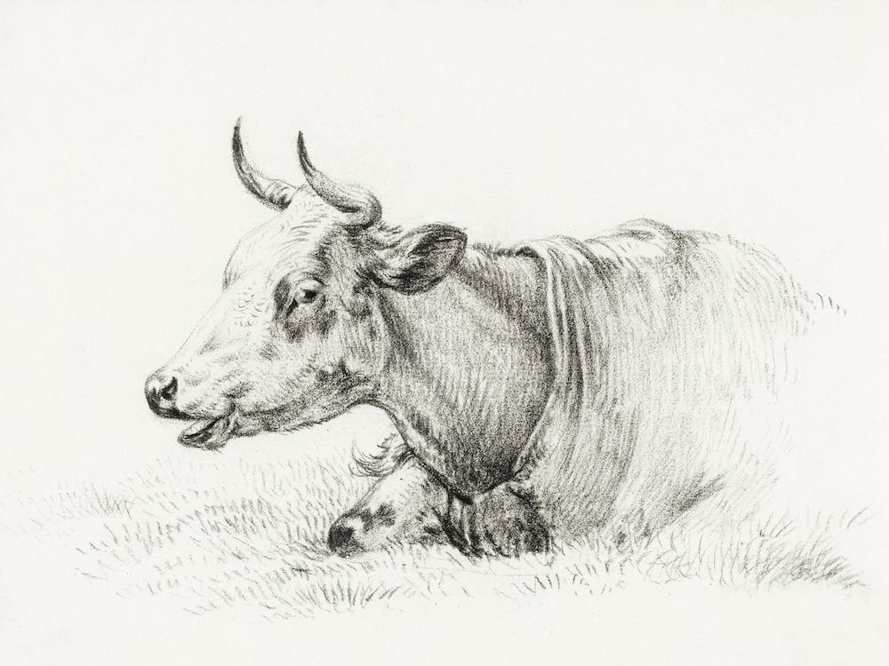 Lying Cow (1825), Jean Bernard